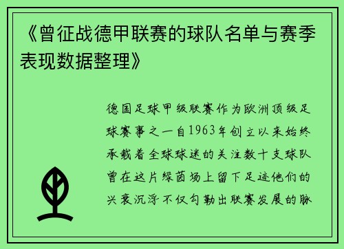 《曾征战德甲联赛的球队名单与赛季表现数据整理》